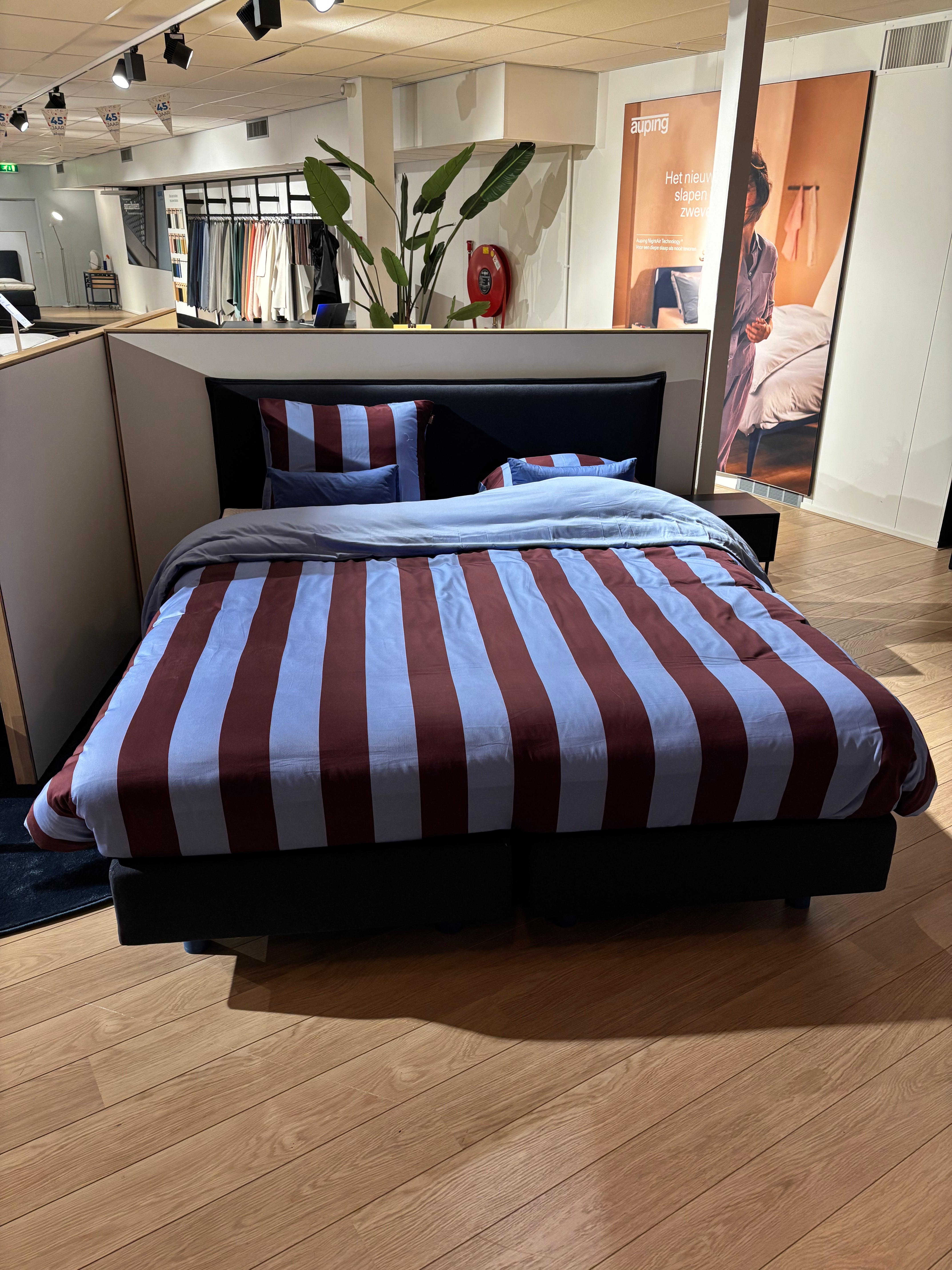 Auping original boxspring (Nieuwleusen)